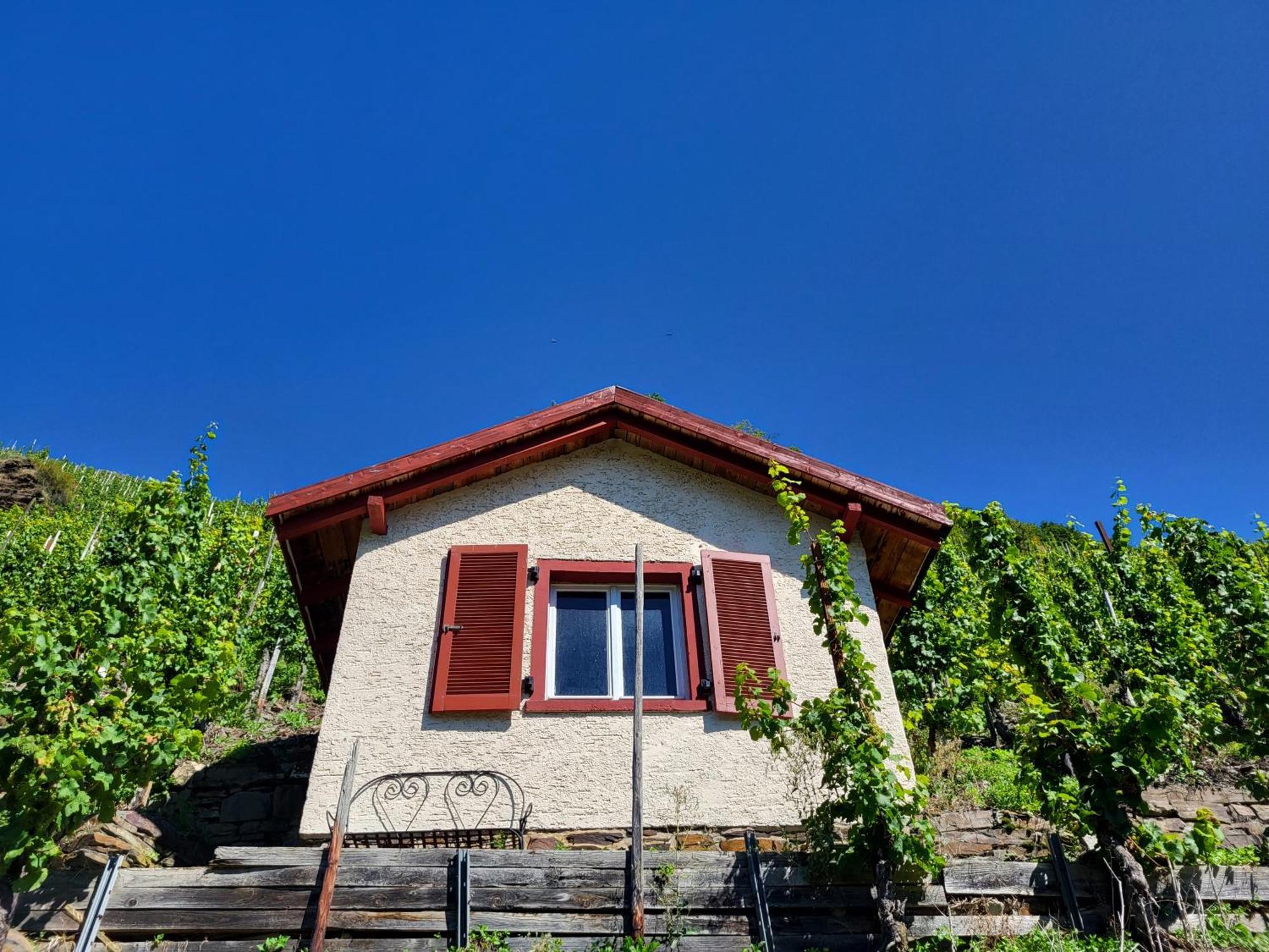 Ferienhaus-Am-Alten-Stadttor Эдигер-Эллер Экстерьер фото